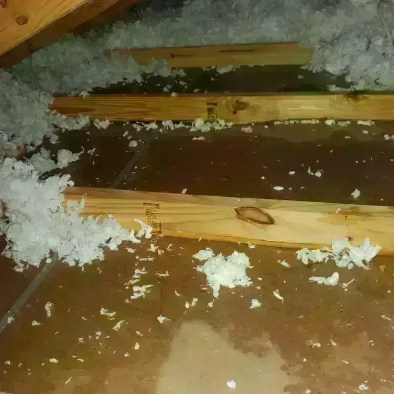 Attic Water Damage in Granger, IA