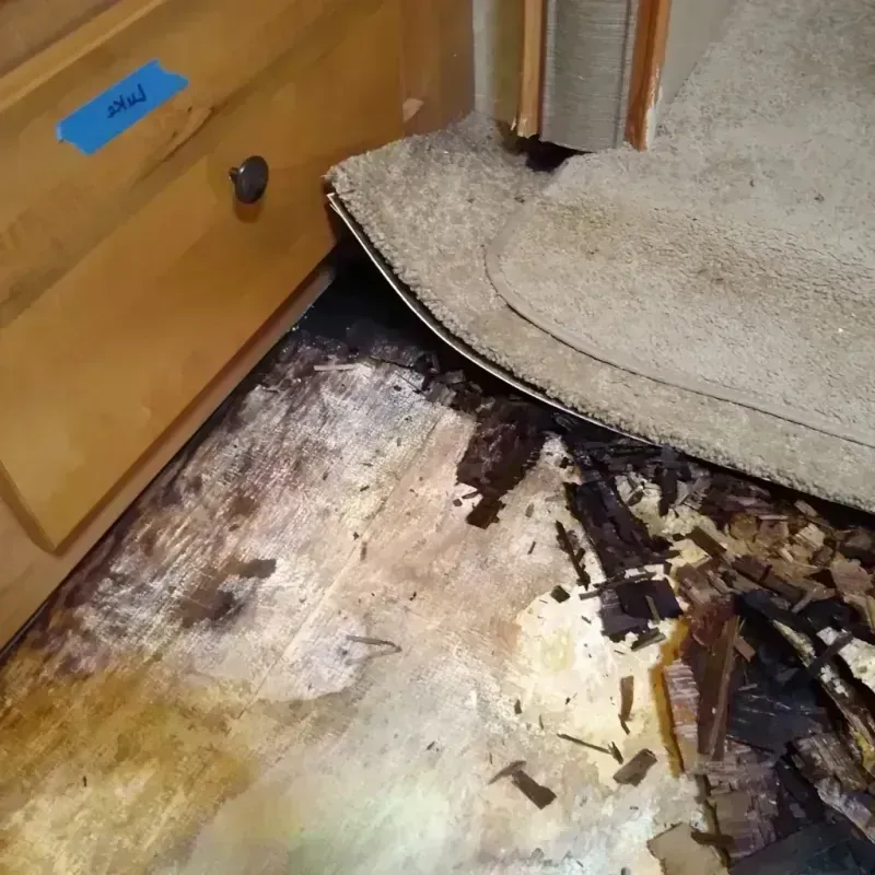 Wood Floor Water Damage in Granger, IA